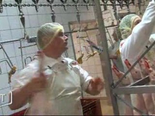 Foie gras : Le grand rush pour les producteurs (Vendée)