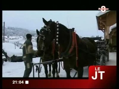 Des calèches pour les skieurs (Megève)
