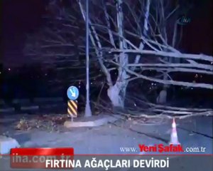 Fırtına İstanbul'da ağaçları devirdi!