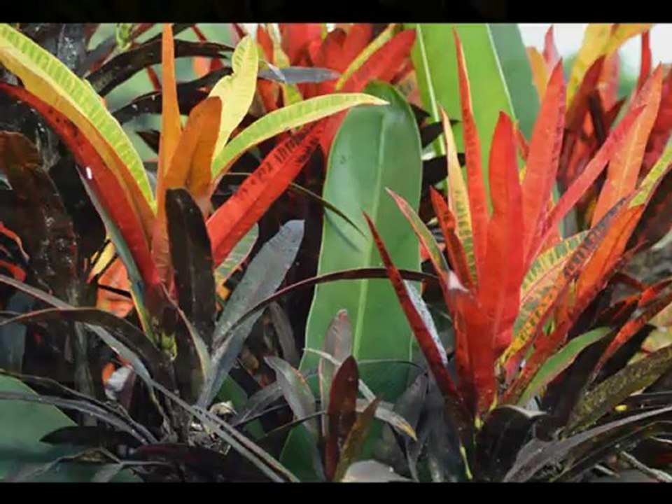 bali 2012