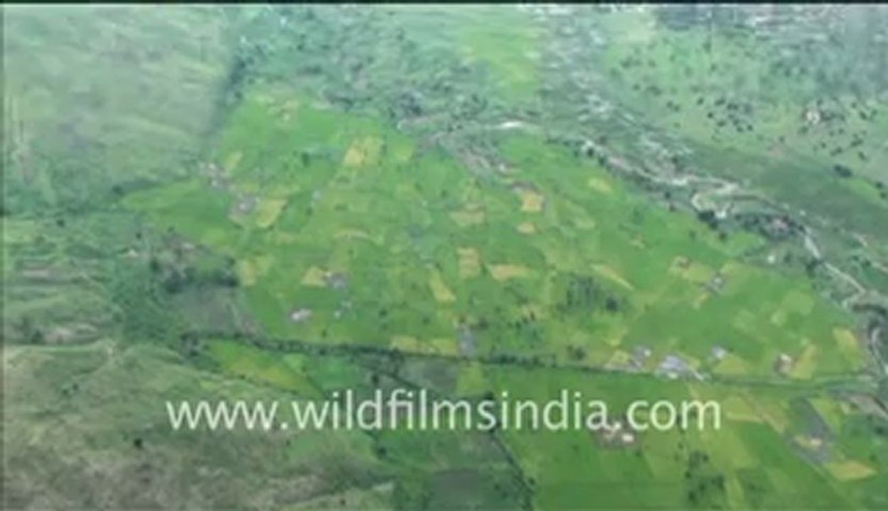 Aerial shots of dense rain forest of Congo