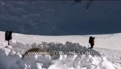 2978.Camping on the white snow-alaska.mp4