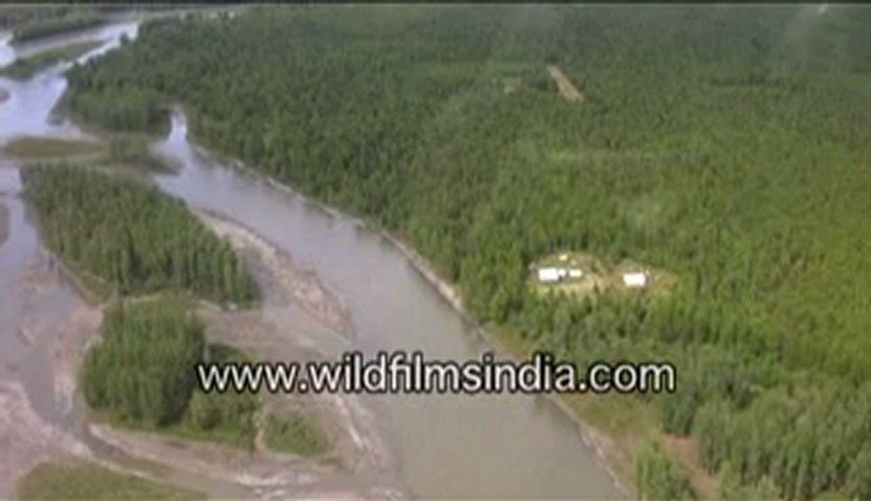 316. Alaska from the Air.mp4
