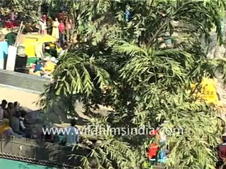 388.Slums in Delhi.mp4