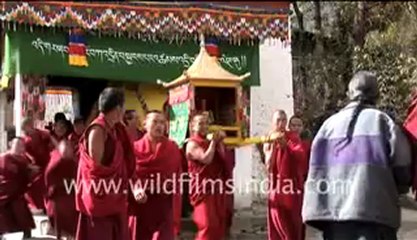 March of the Apatanis Part III