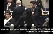 Seybah Dagoma - Audition de Bernard Cazeneuve et Michael Link - 18-12-12