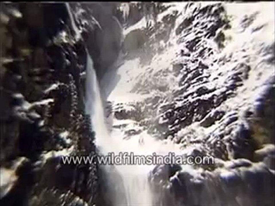 Avalanche in the Himalaya!