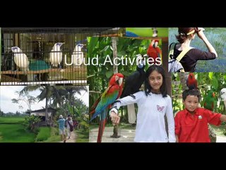 Ubud Activities in Bali Resort