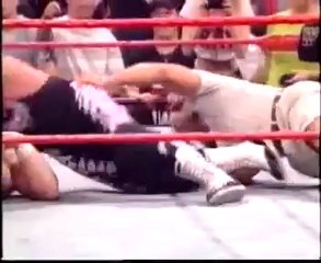 WWF PROMO - BRET HART vs UNDERTAKER _SUMMERSLAM1997__(360p)