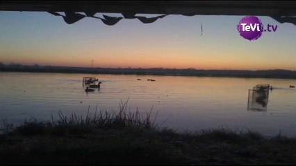 La chasse au gabion 09-01-13