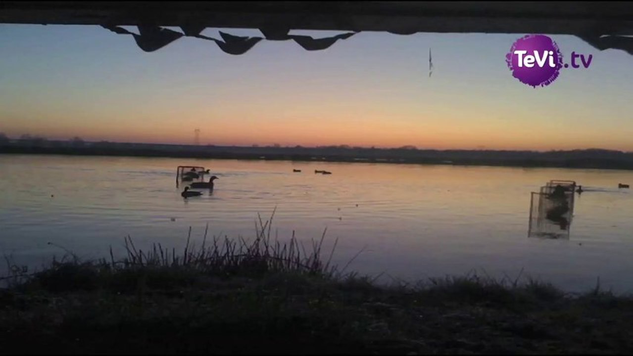 La chasse au gabion 09-01-13