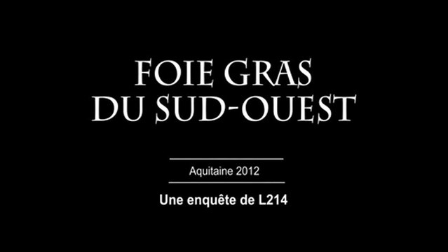 Bien choisir le foie gras - Repas du réveillon