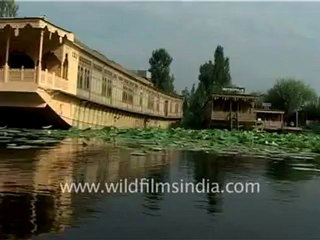 Dal Lake of Srinagar