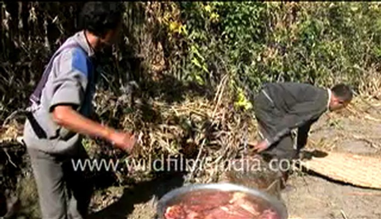 Apatanis Making Food