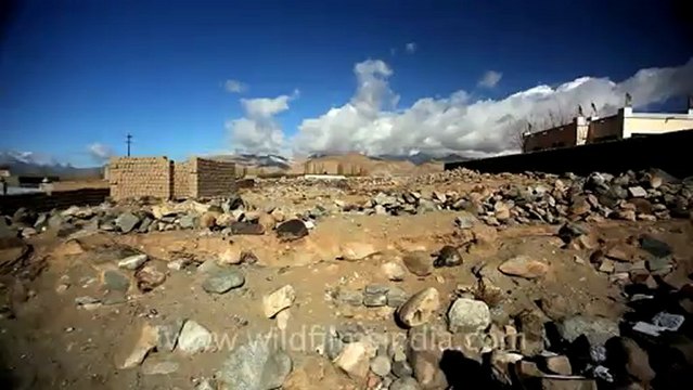 Ladakh rocky landscapes