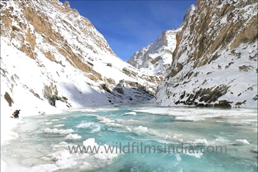 Frozen River in  Ladakh