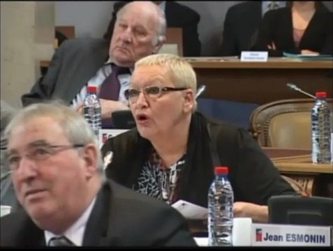 Colette POPARD et Pierre POILLOT. Revenu de Solidarité Active. Session de décembre 2012