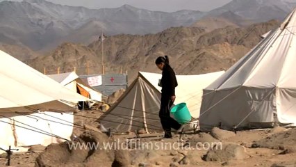 884.Camps in Ladakh.mov