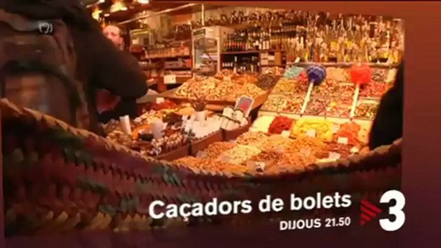 TV3 - Dijous, a les - Caçadors de bolets