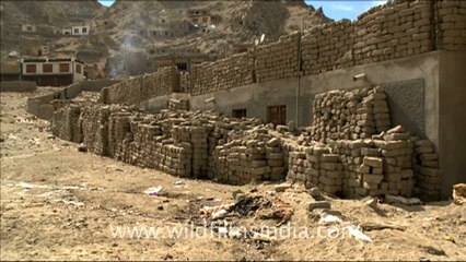 Ladakh - bricks ready for construction work