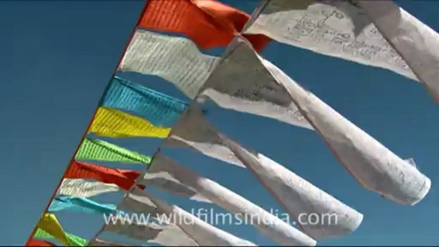 Prayer Flags in Ladakh