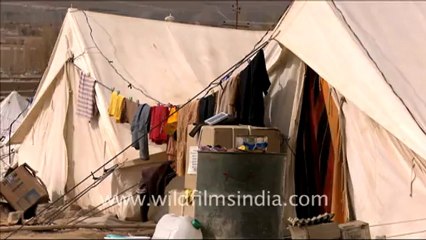 Indian Red Cross Society and Relief camps in Ladakh