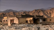 966.Village in Ladakh.mov