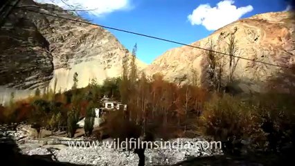 Land of high passes, Ladakh