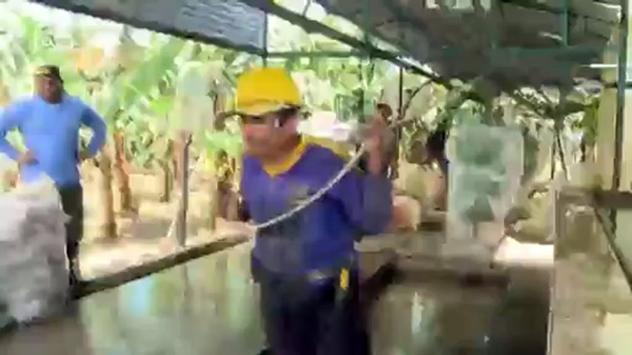 Peru: gut versichert gegen die Flut | Global Ideas