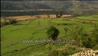 Agricultural land-MPEG-4 800Kbps.mp4