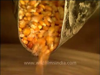 Arunachal-mdv-919-1.mov