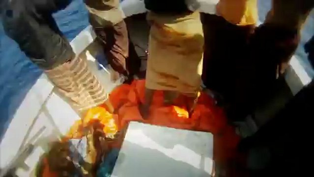 La Marine nationale en 75 secondes