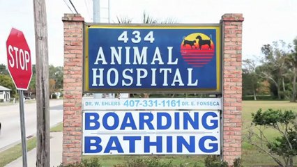 Welcome to 434 Animal Hospital