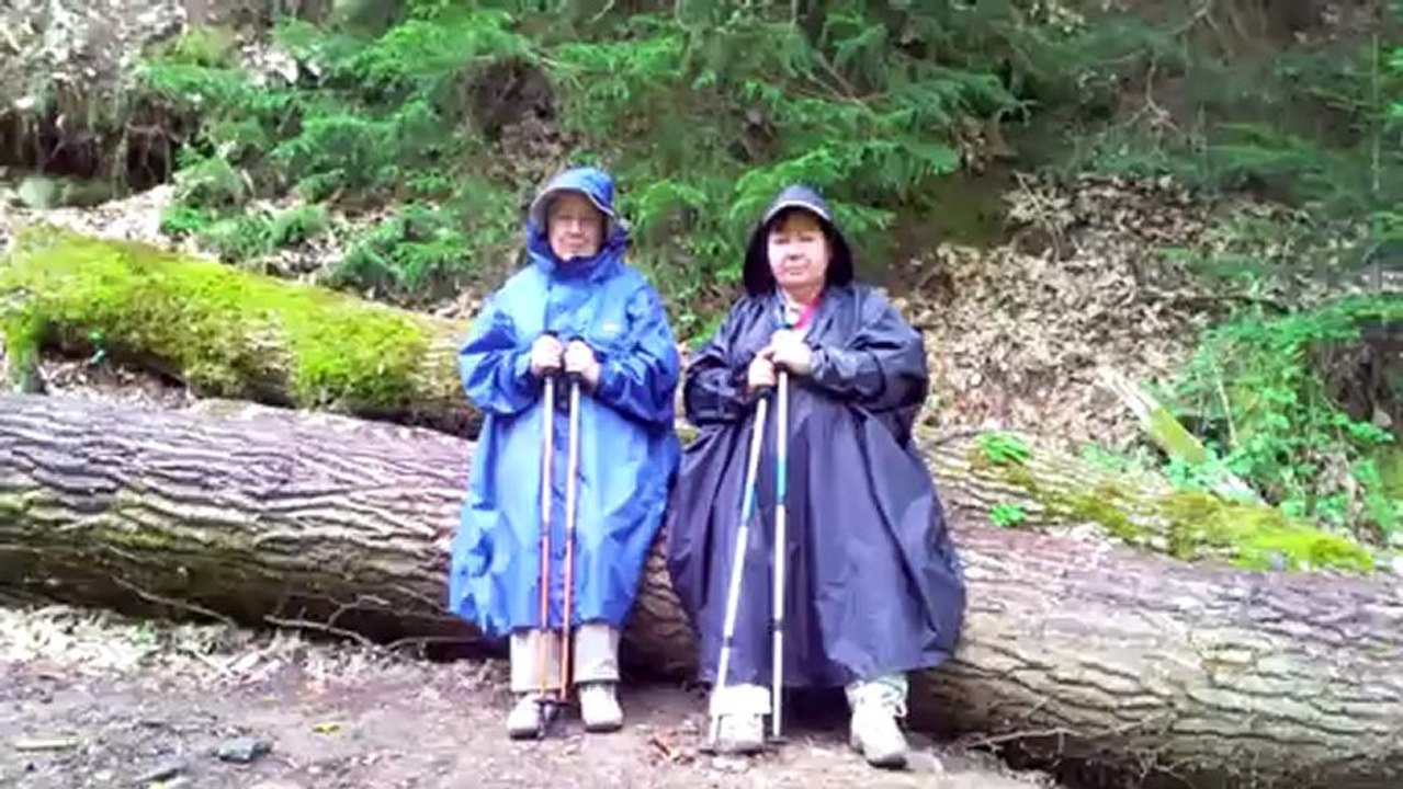 010 De St Chely d'Aubrac a St Côme d'Olt