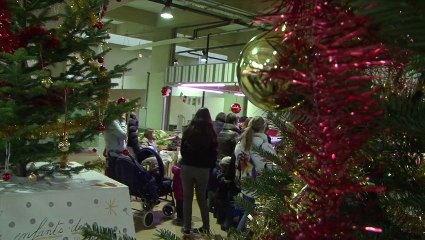 Décoration des Sapins du Marché Couvert