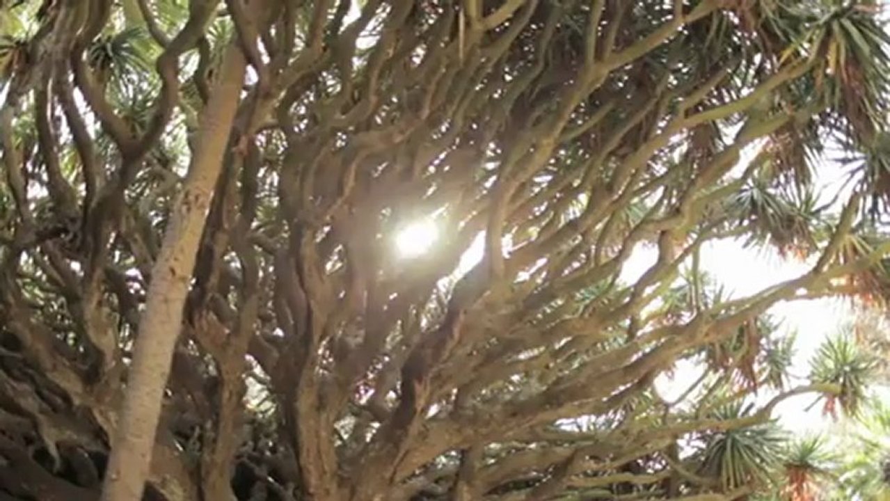 Le porte bébé Ergobaby Frolincking in Fez