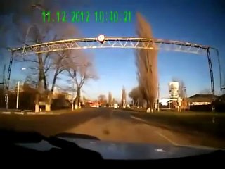 accidente con vacas en rusia