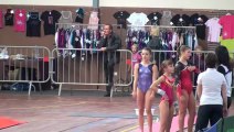 Championnat Départemental de gymnastique féminine.