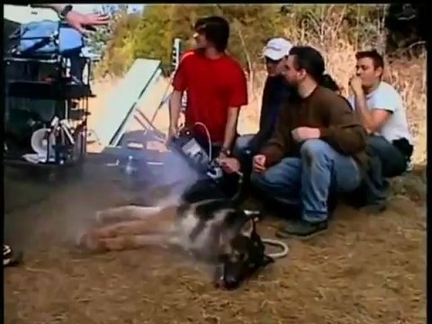 Zombie Dog - The Young Van Helsing