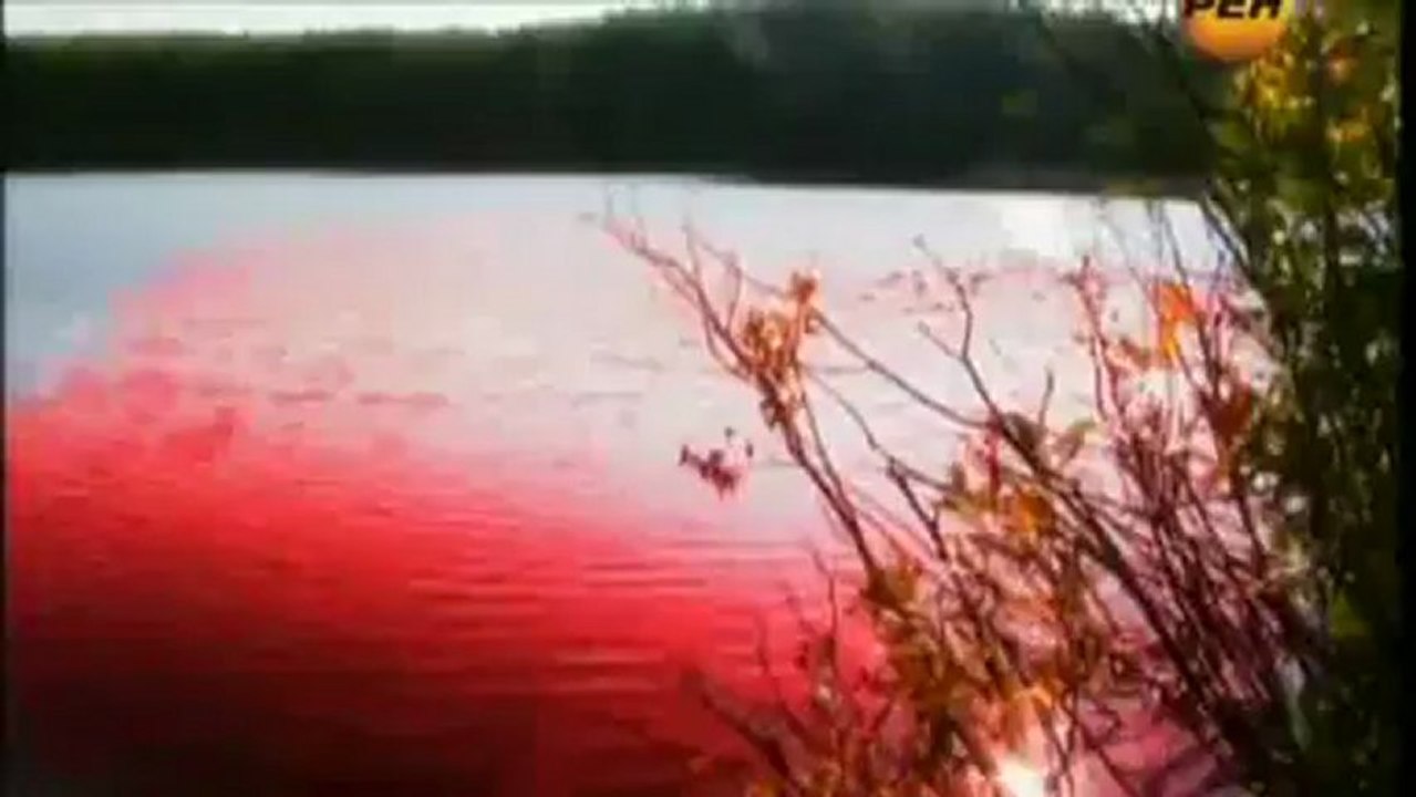 Загадки Вселенной - 2012. Великий скачок - часть 2