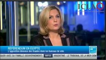 Alain Wagner à propos du référendum égyptien sur la constitution