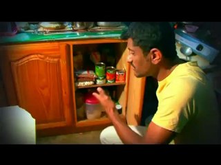 SEGA  DE L ILE MAURICE