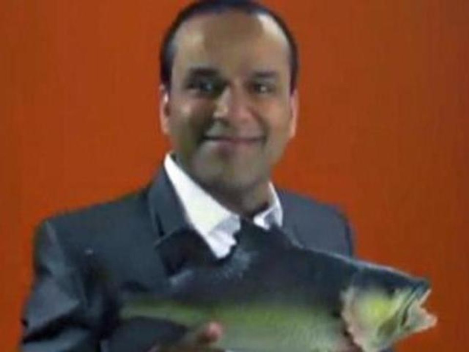 'One pound fish' perches on top of UK chart