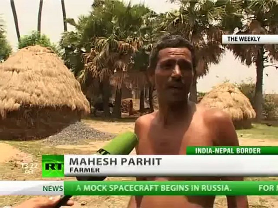 Drug Crop Con: Opium 'Sunflowers' Pop Up In India