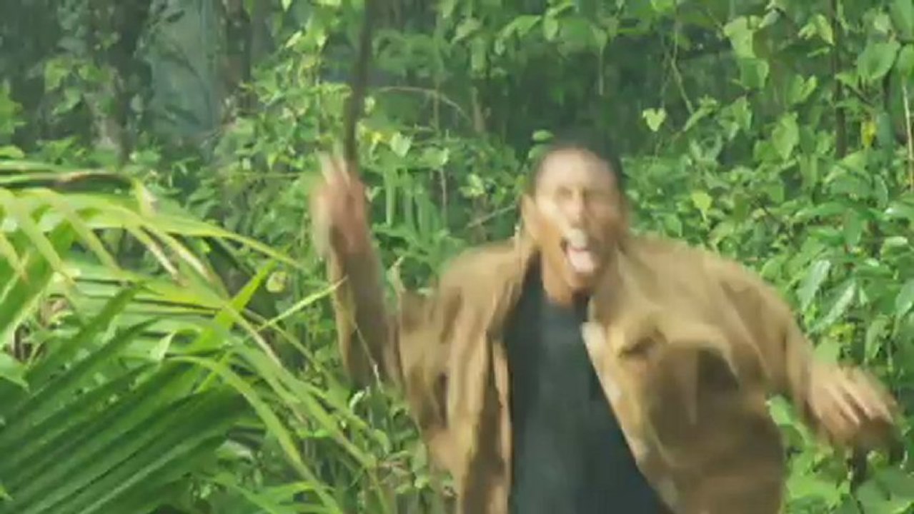 キラービー2013 予告編