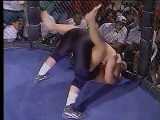 Heath Herring vs. Van den Steen