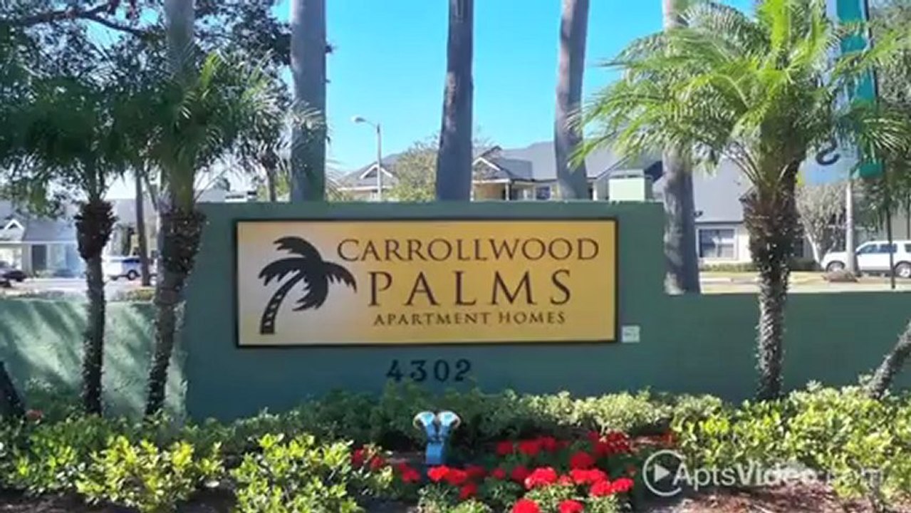 Carrollwood Palms Apartments in Tampa, FL - ForRent.com