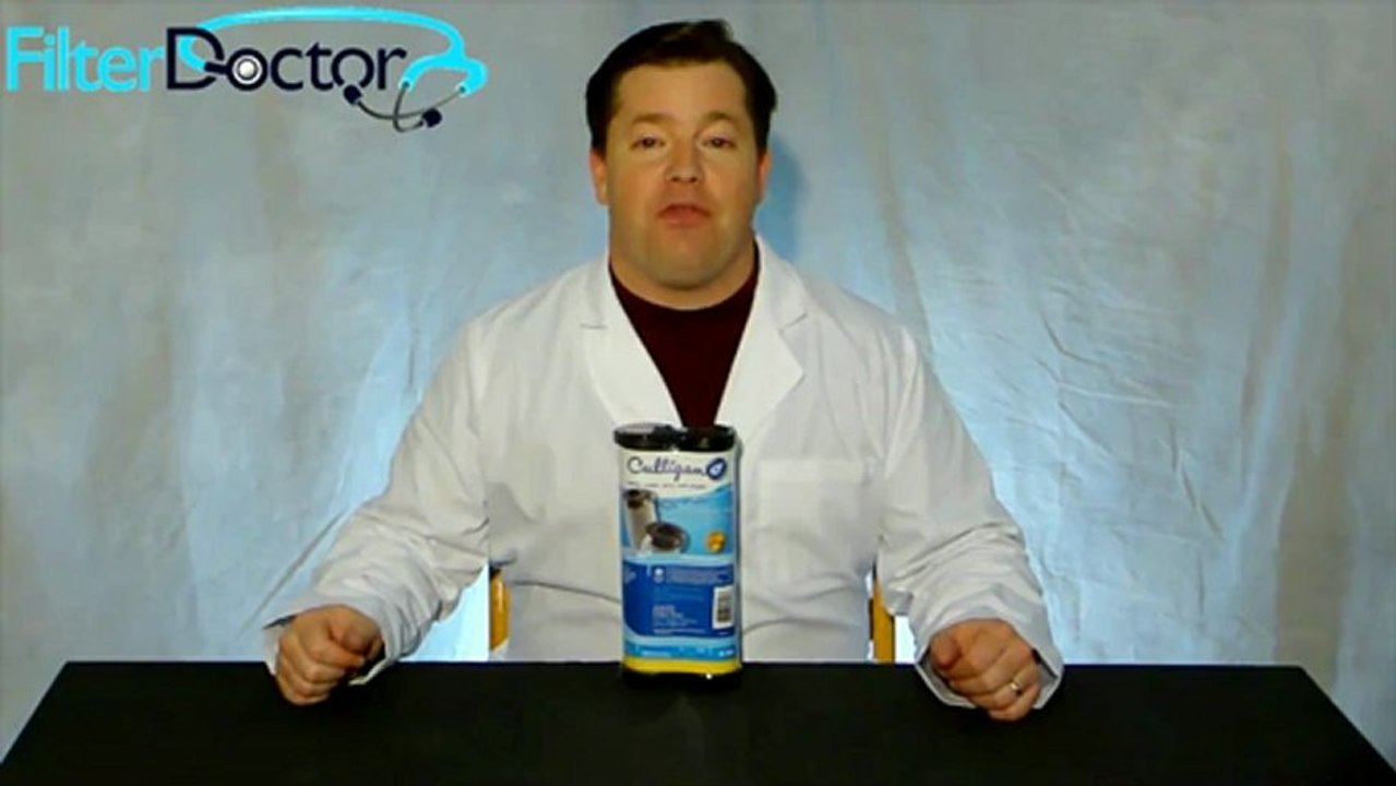 Culligan D-10