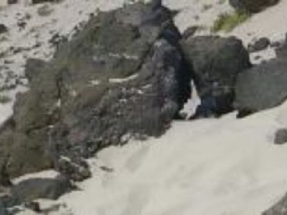 Lanzarote, die Nördlichste der Kanarischen Inseln