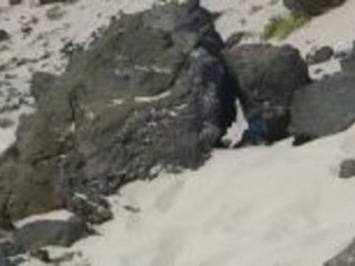 Lanzarote, die Nördlichste der Kanarischen Inseln